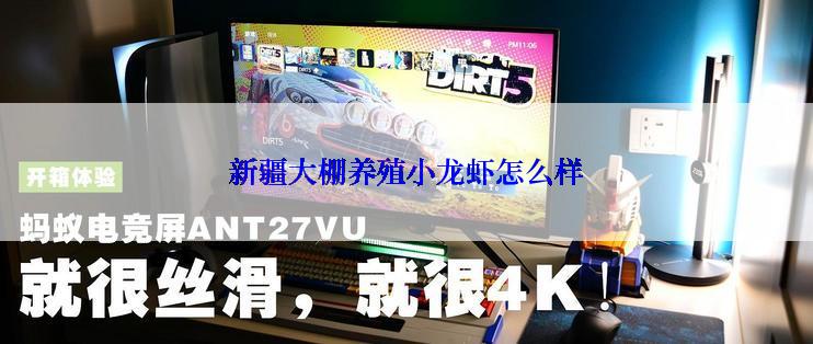 新疆大棚养殖小龙虾怎么样