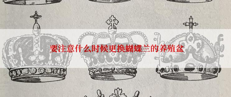  要注意什么时候更换蝴蝶兰的养殖盆