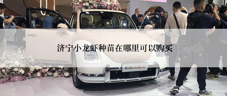 济宁小龙虾种苗在哪里可以购买