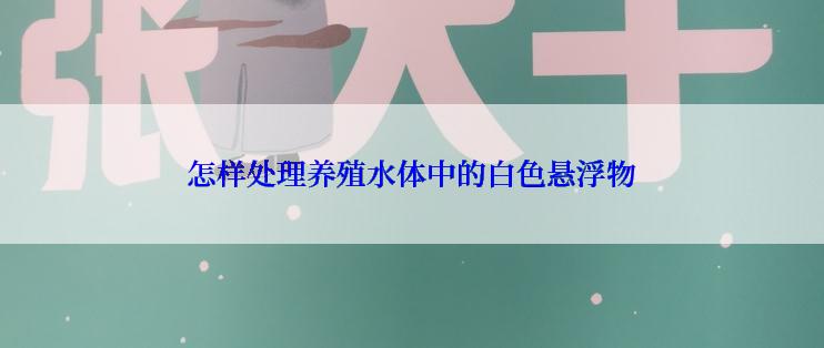 怎样处理养殖水体中的白色悬浮物