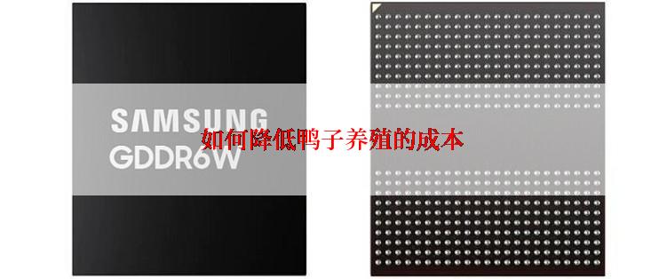  如何降低鸭子养殖的成本