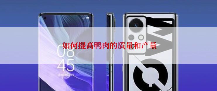  如何提高鸭肉的质量和产量