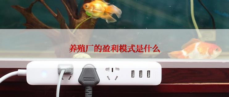 养殖厂的盈利模式是什么