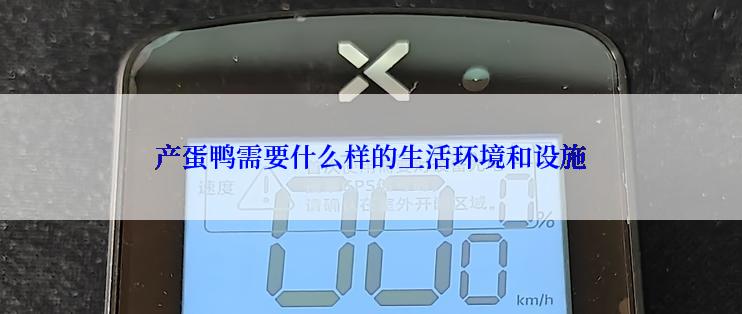 产蛋鸭需要什么样的生活环境和设施