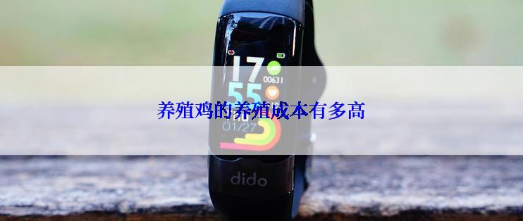 养殖鸡的养殖成本有多高