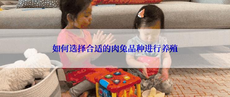 如何选择合适的肉兔品种进行养殖