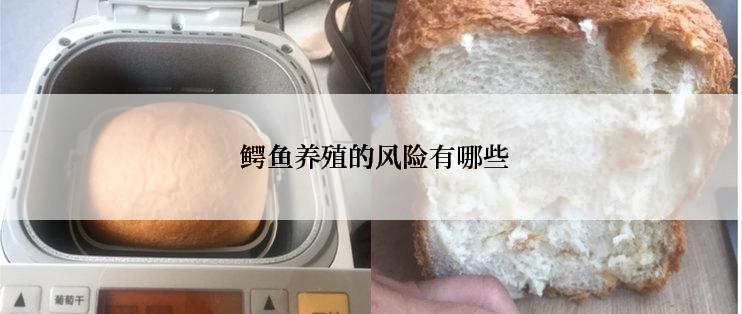  鳄鱼养殖的风险有哪些