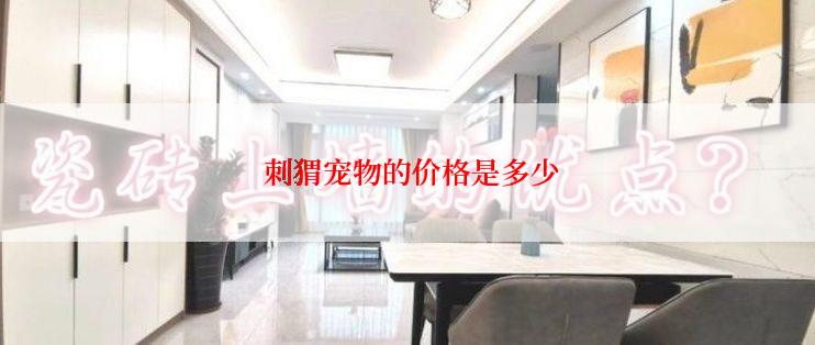  刺猬宠物的价格是多少