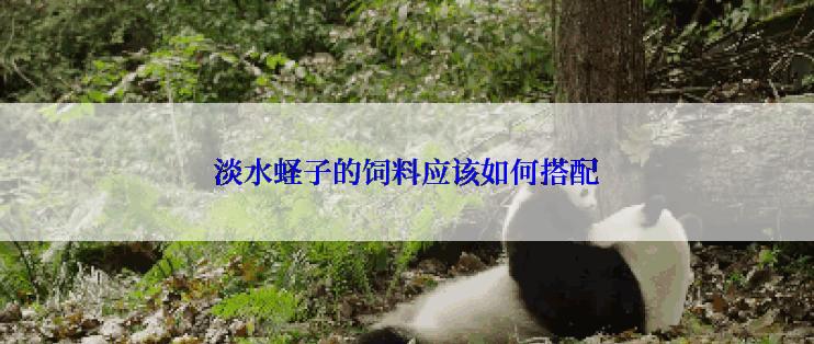 淡水蛏子的饲料应该如何搭配