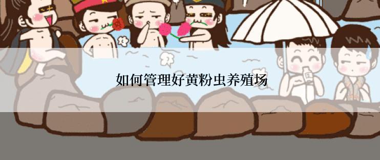  如何管理好黄粉虫养殖场