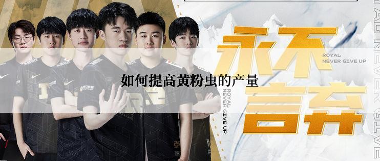 如何提高黄粉虫的产量