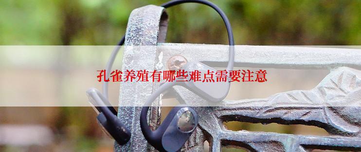  孔雀养殖有哪些难点需要注意
