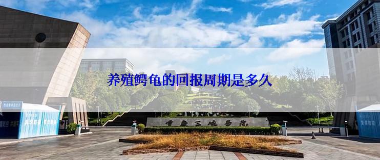 养殖鳄龟的回报周期是多久