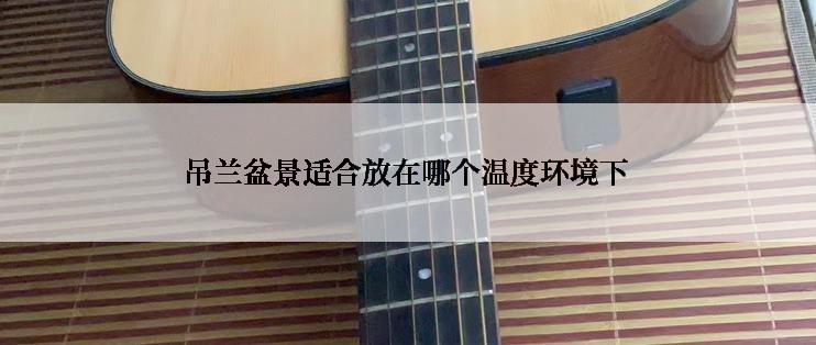 吊兰盆景适合放在哪个温度环境下