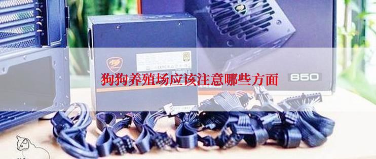  狗狗养殖场应该注意哪些方面