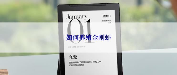 如何养殖金刚虾