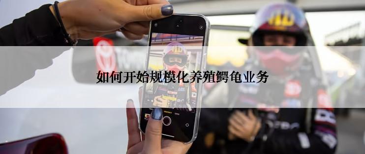 如何开始规模化养殖鳄龟业务