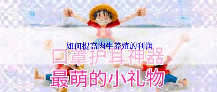  如何提高肉牛养殖的利润