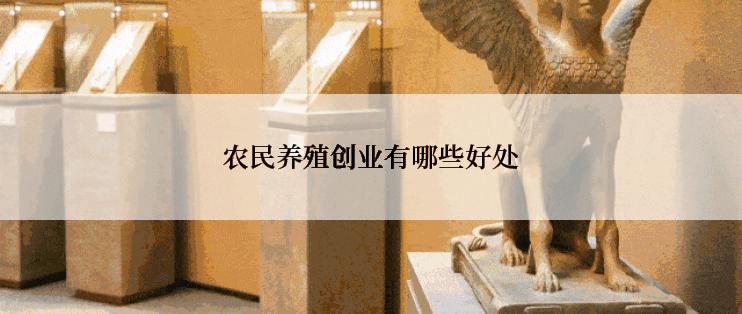 农民养殖创业有哪些好处