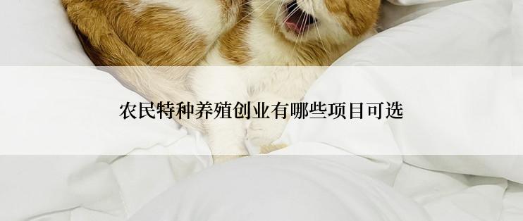 农民特种养殖创业有哪些项目可选