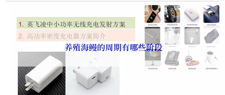  养殖海鳗的周期有哪些阶段