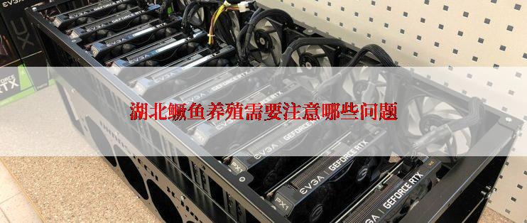 湖北鳜鱼养殖需要注意哪些问题