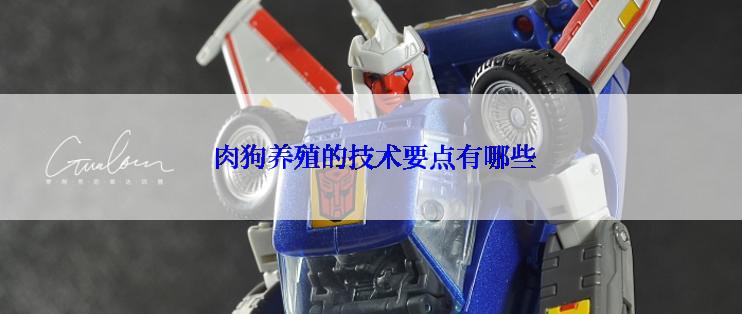  肉狗养殖的技术要点有哪些
