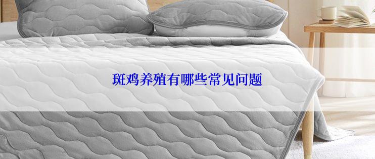 斑鸡养殖有哪些常见问题