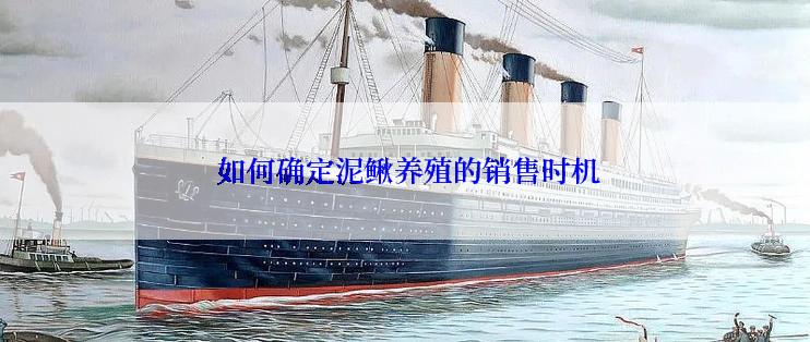  如何确定泥鳅养殖的销售时机