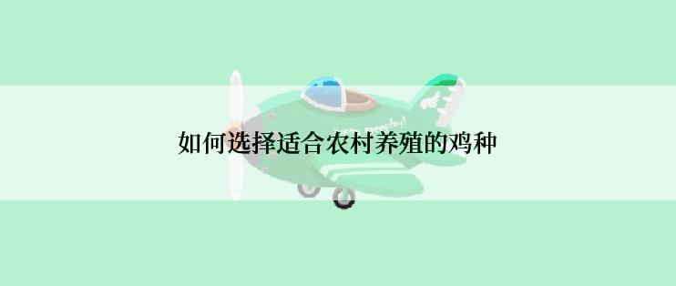 如何选择适合农村养殖的鸡种