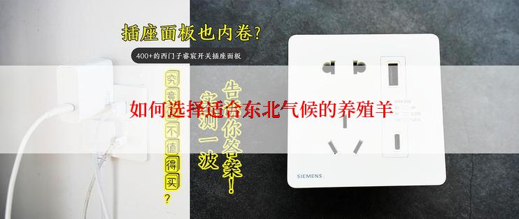  如何选择适合东北气候的养殖羊