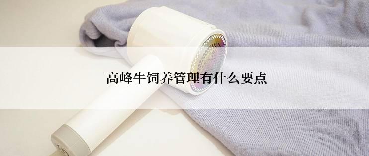  高峰牛饲养管理有什么要点