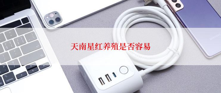 天南星红养殖是否容易