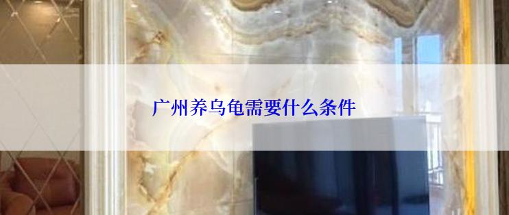 广州养乌龟需要什么条件