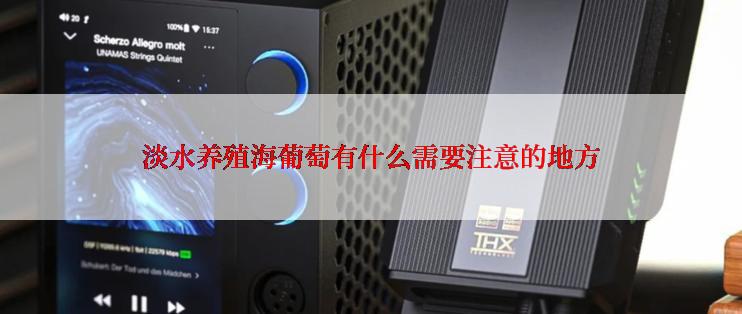淡水养殖海葡萄有什么需要注意的地方