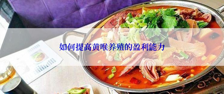 如何提高黄喉养殖的盈利能力
