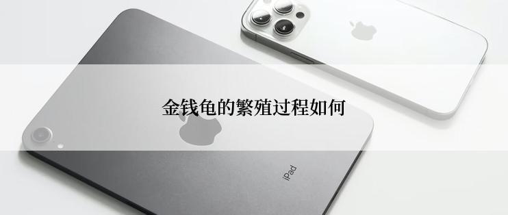 金钱龟的繁殖过程如何