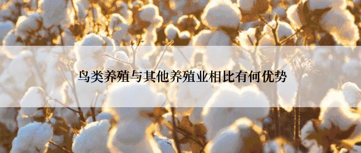  鸟类养殖与其他养殖业相比有何优势