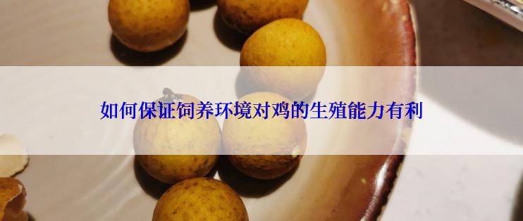 如何保证饲养环境对鸡的生殖能力有利