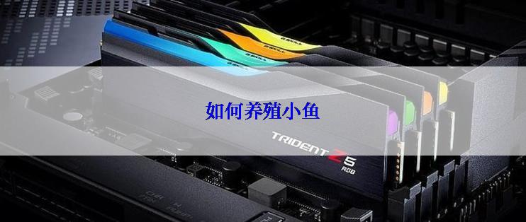 如何养殖小鱼