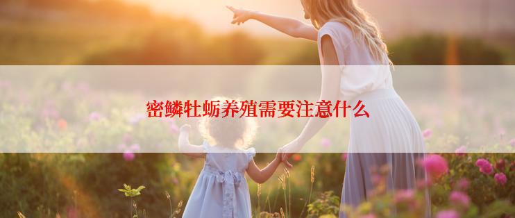 密鳞牡蛎养殖需要注意什么