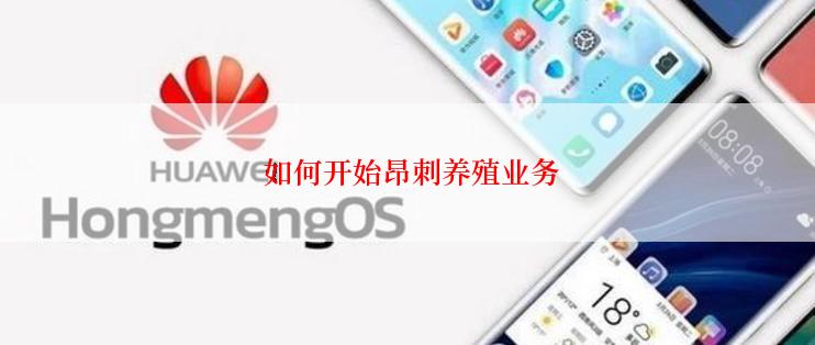  如何开始昂刺养殖业务