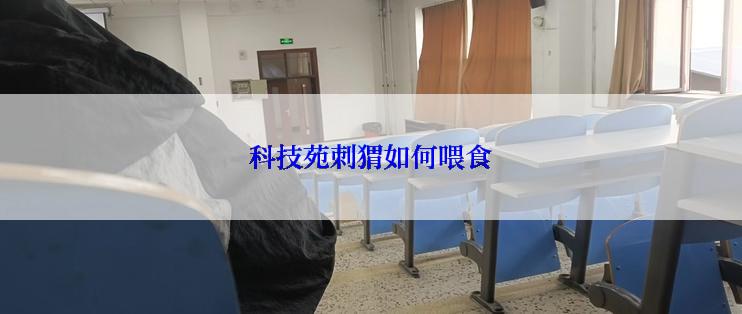 科技苑刺猬如何喂食