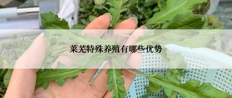 莱芜特殊养殖有哪些优势