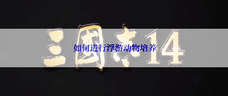  如何进行浮游动物培养