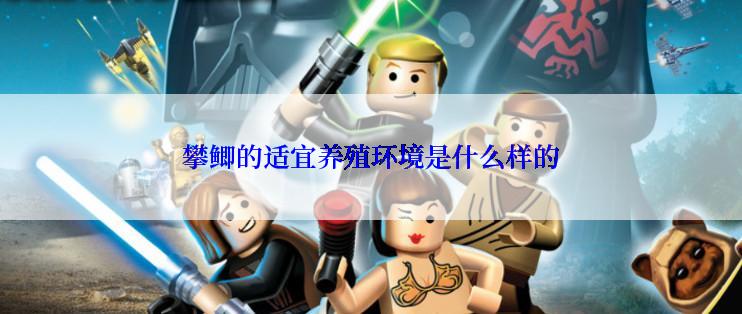 攀鲫的适宜养殖环境是什么样的