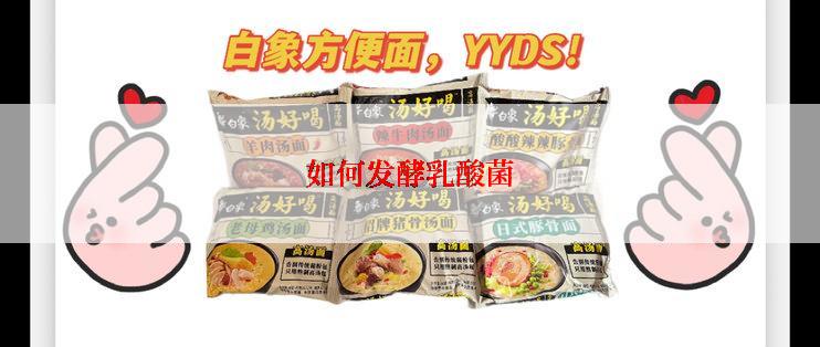 如何发酵乳酸菌