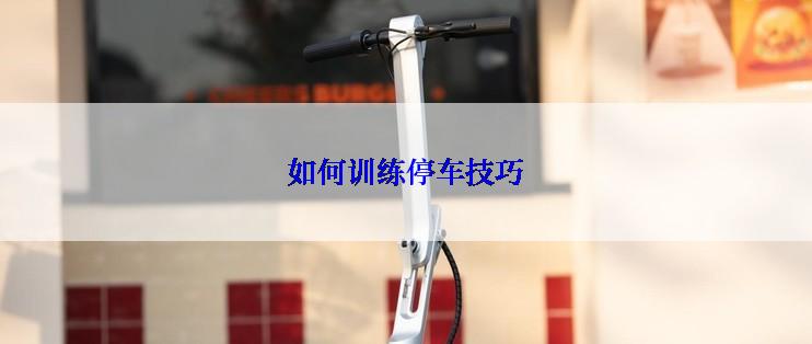 如何训练停车技巧