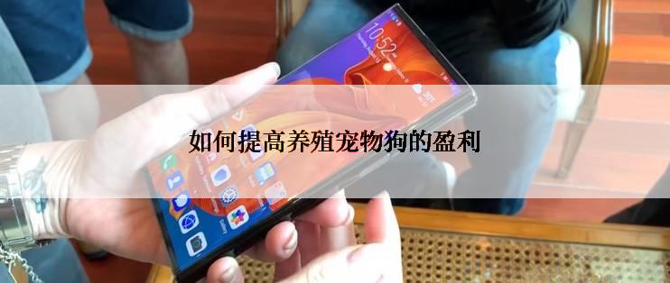 如何提高养殖宠物狗的盈利