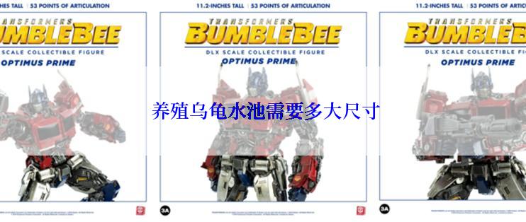  养殖乌龟水池需要多大尺寸